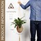 2 Packs Jute Crochet Long Plant Hanger for 3 Inch to 12 Inch Pots, Macrame Plant Holder Rope with 2 S Shaped Hooks for Halloween Home Decor(Brown)